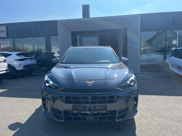 Bild des Autos 19