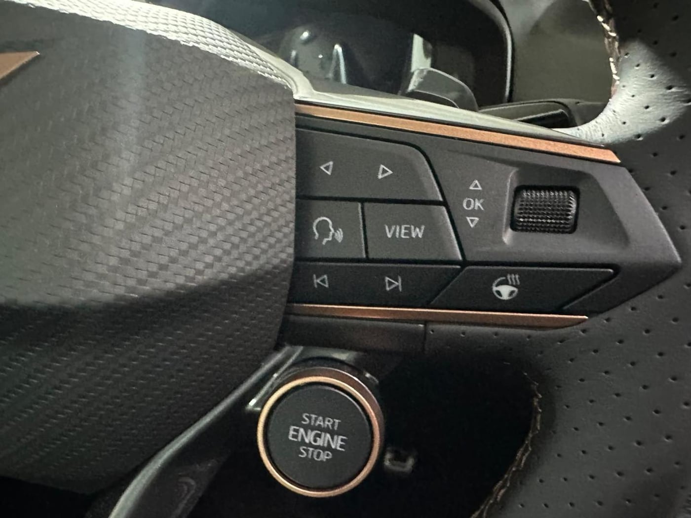 CUPRA Terramar 2.0 TSI VZ 4 Drive DSG 195 kW (265 CV) — photo 12