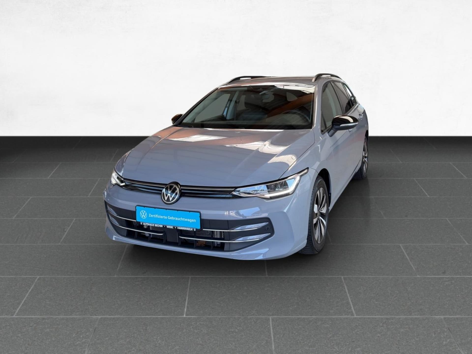 Volkswagen Golf Variant Goal