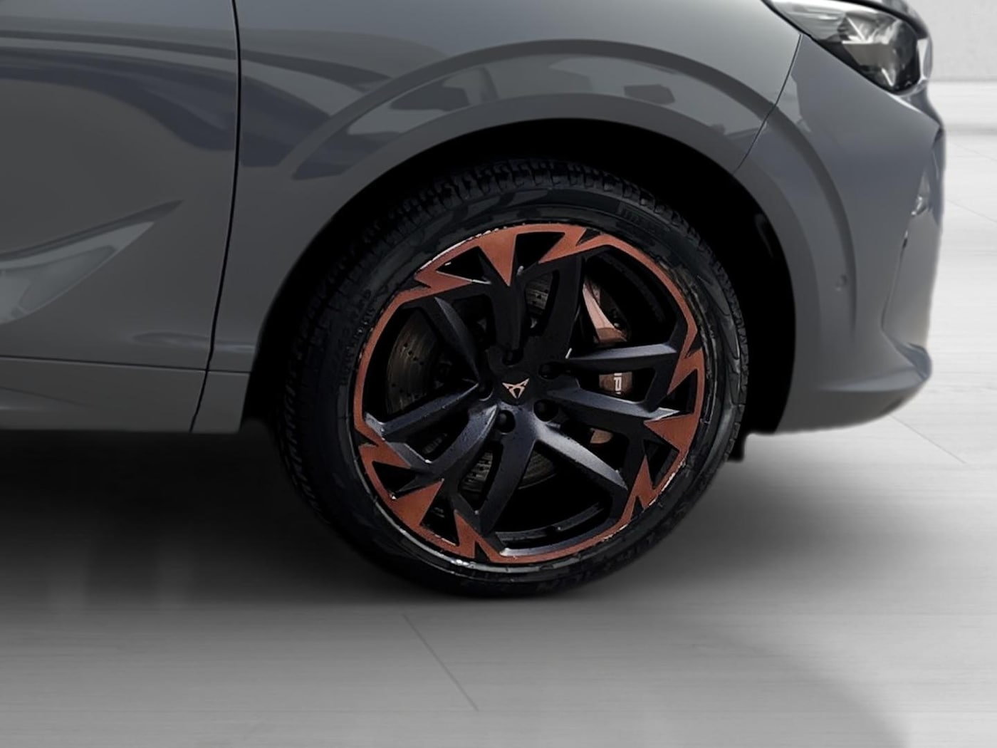 CUPRA Terramar 2.0 TSI VZ 4 Drive DSG 195 kW (265 CV) — photo 8