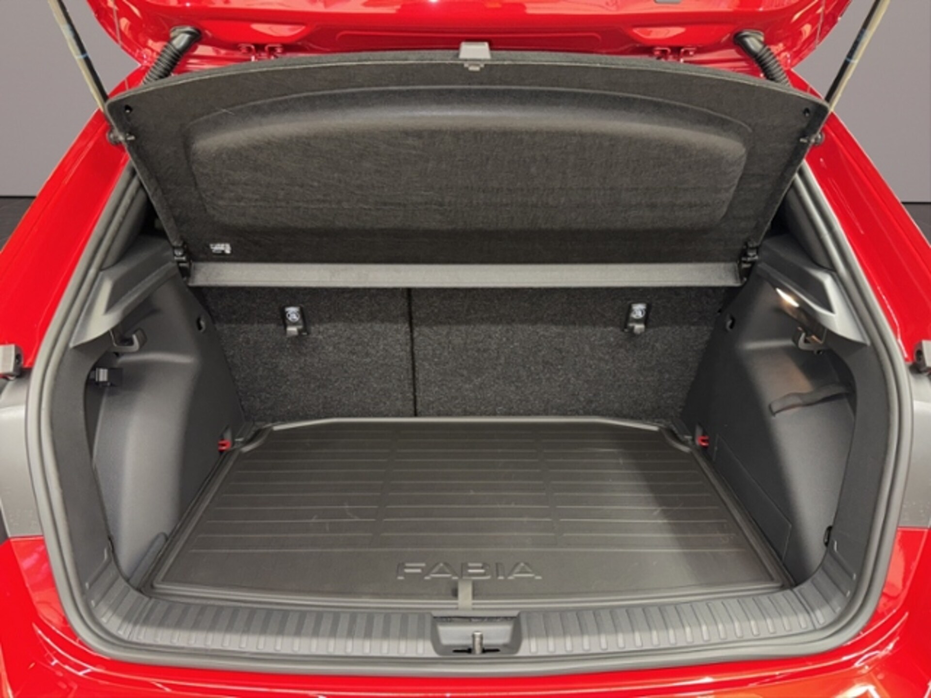Skoda Fabia Monte Carlo