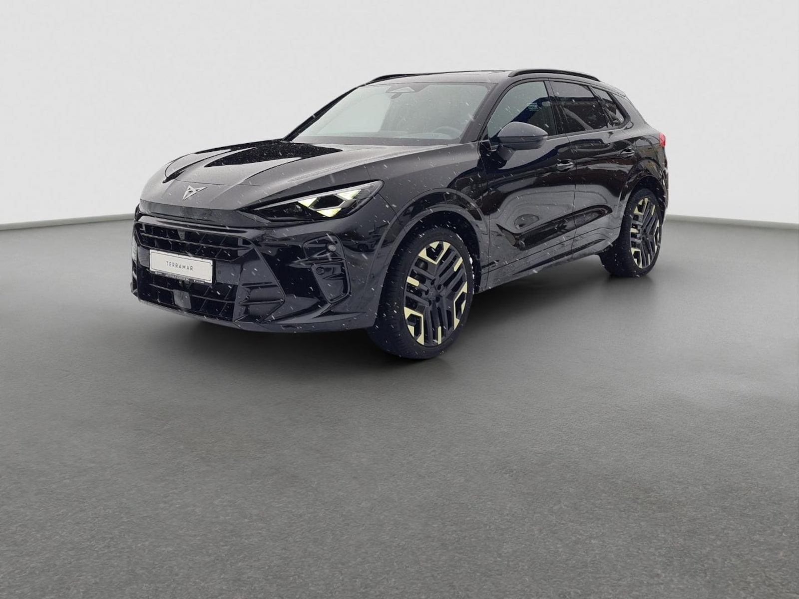 CUPRA Terramar – Bild 2