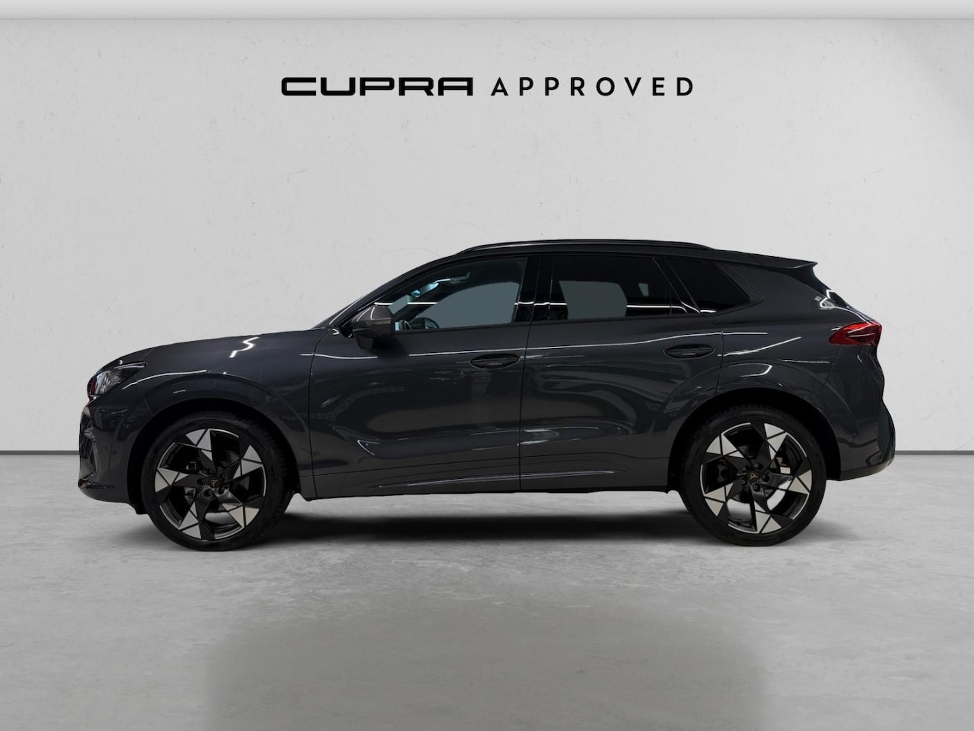 CUPRA Terramar 1.5 eTSI DSG 110 kW (150 CV) — photo 15