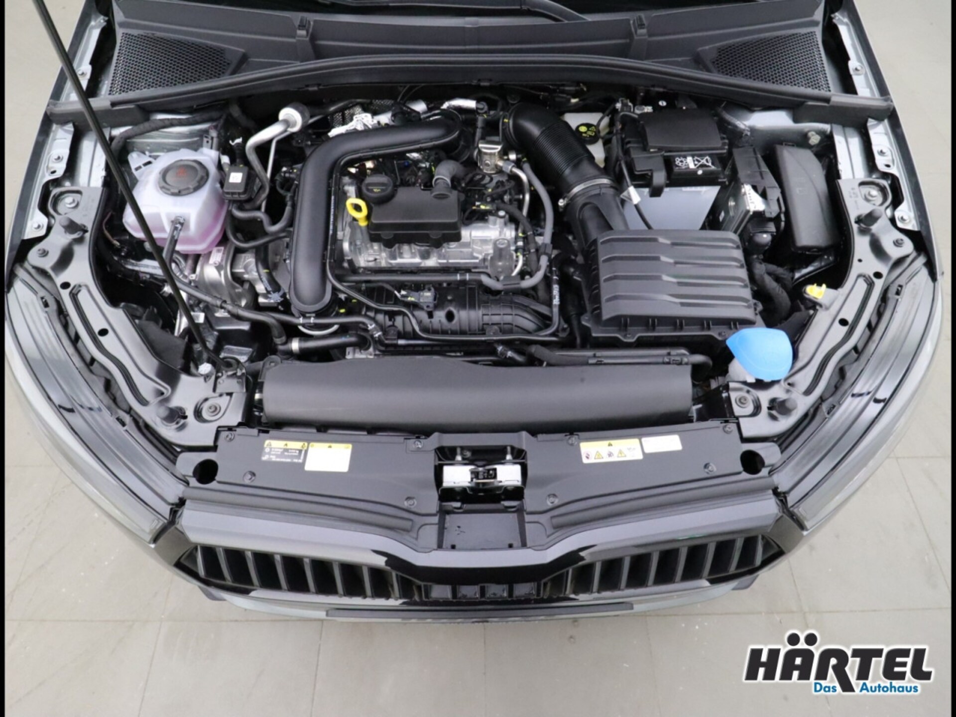 Skoda Fabia Monte Carlo