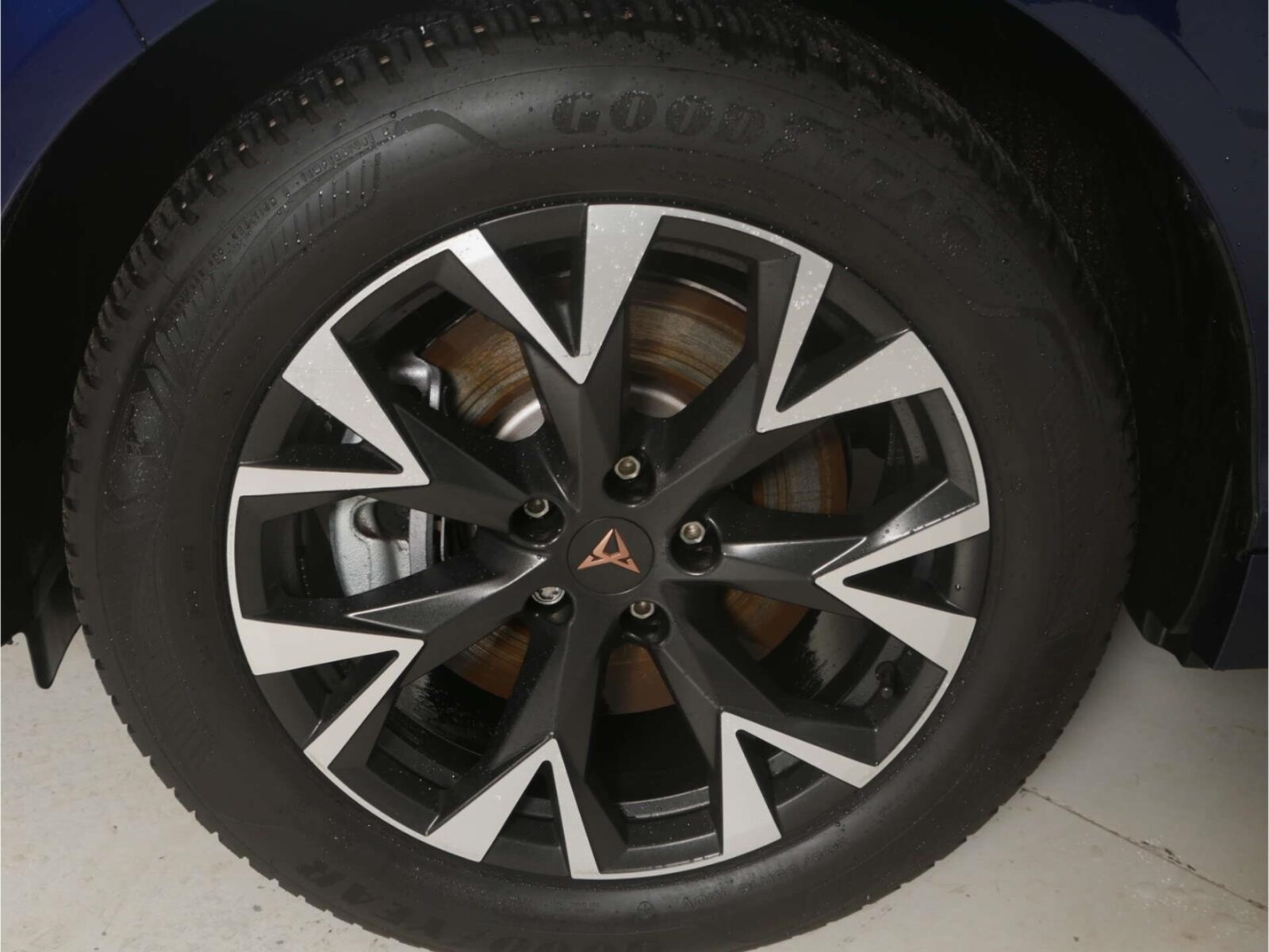 CUPRA Terramar – Bild 4