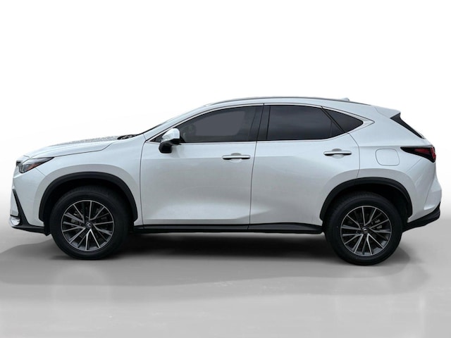 2024 Lexus NX 250