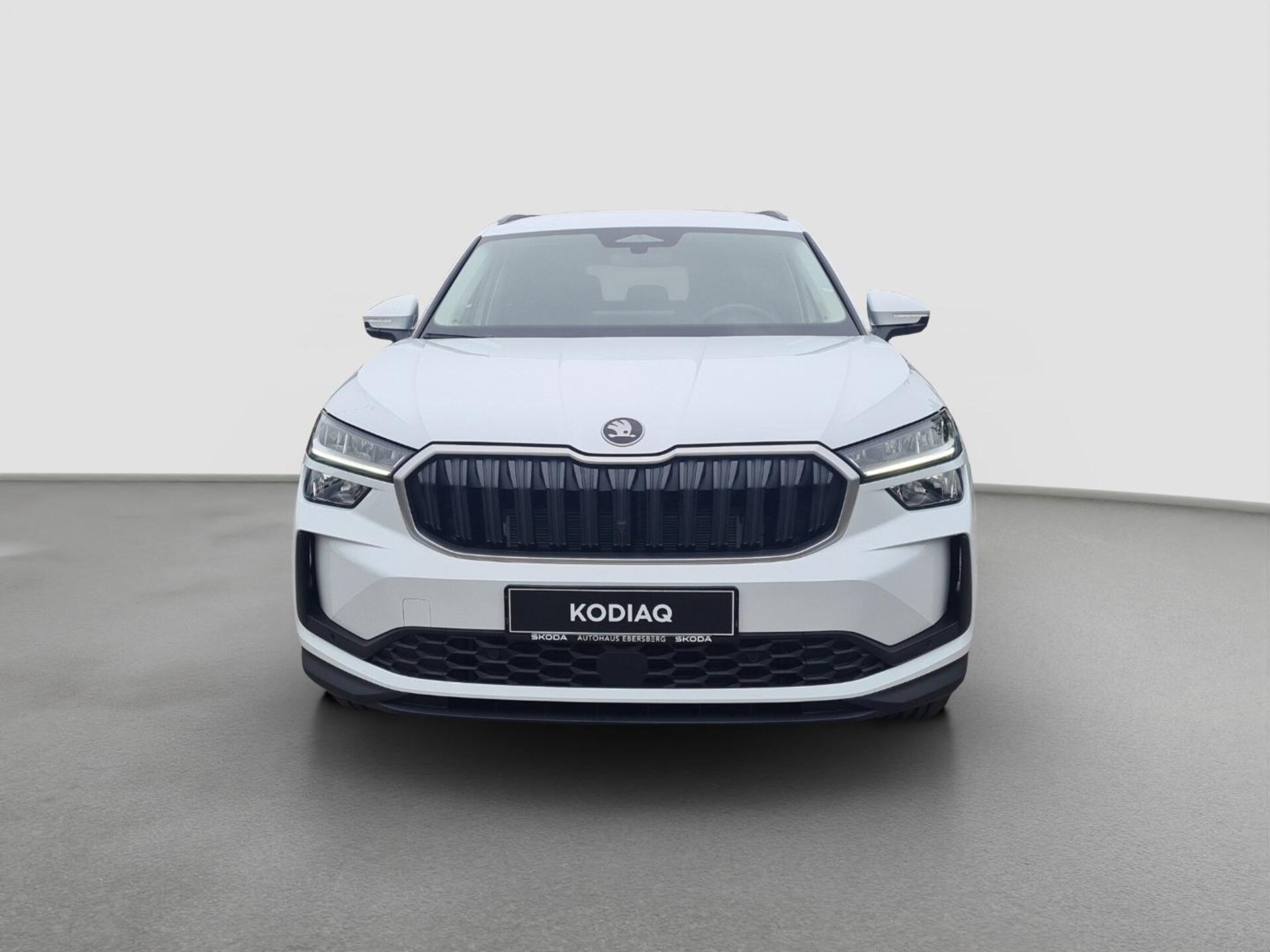 Skoda Kodiaq Selection