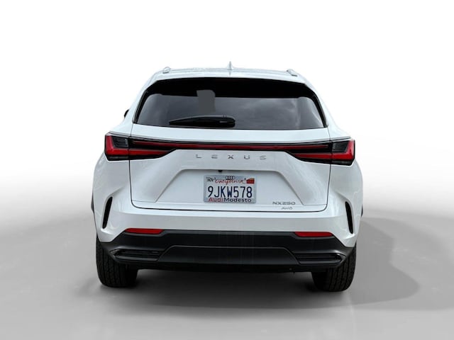 2024 Lexus NX 250