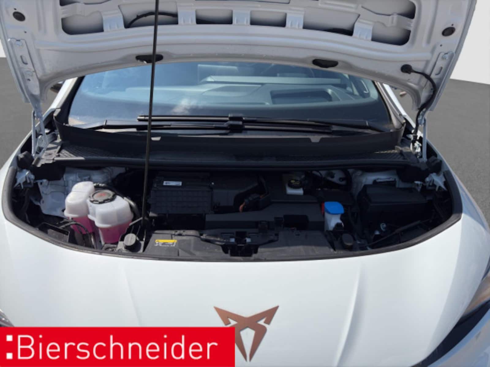 CUPRA Born – Bild 20