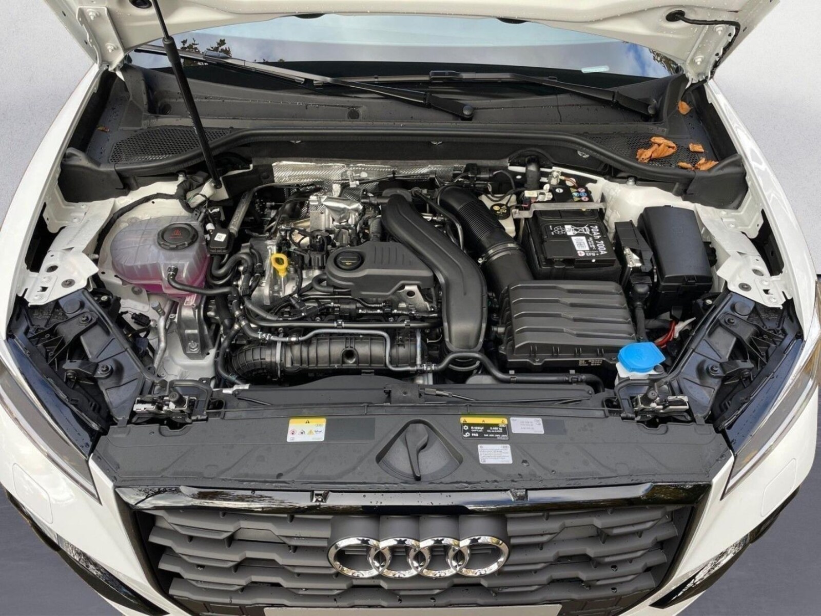 Audi Q2 – Bild 11