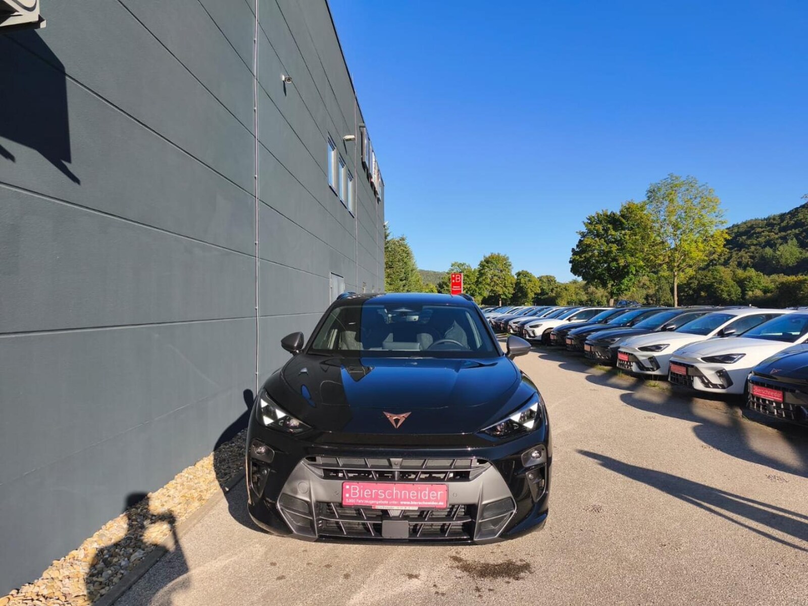 CUPRA Terramar – Bild 2