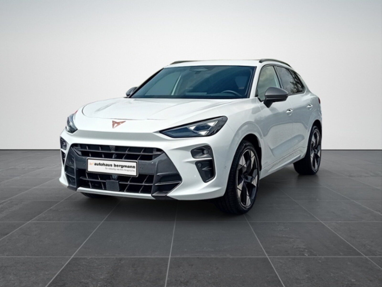 CUPRA Terramar – Bild 2