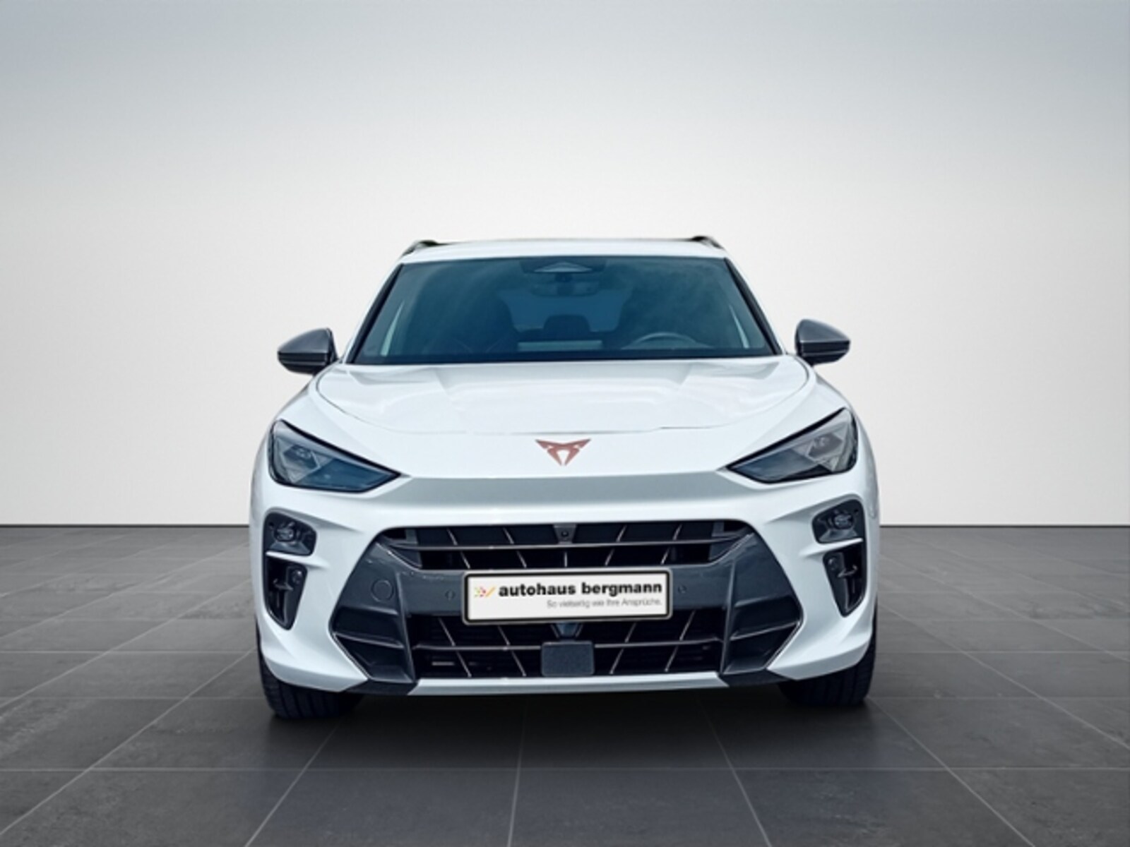 CUPRA Terramar – Bild 3