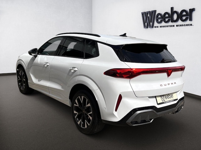 Bild des Autos 12