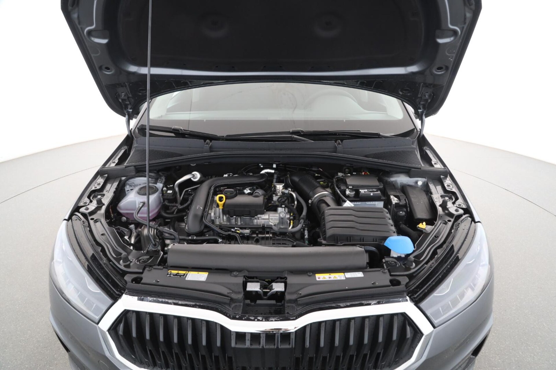 Skoda Fabia Selection