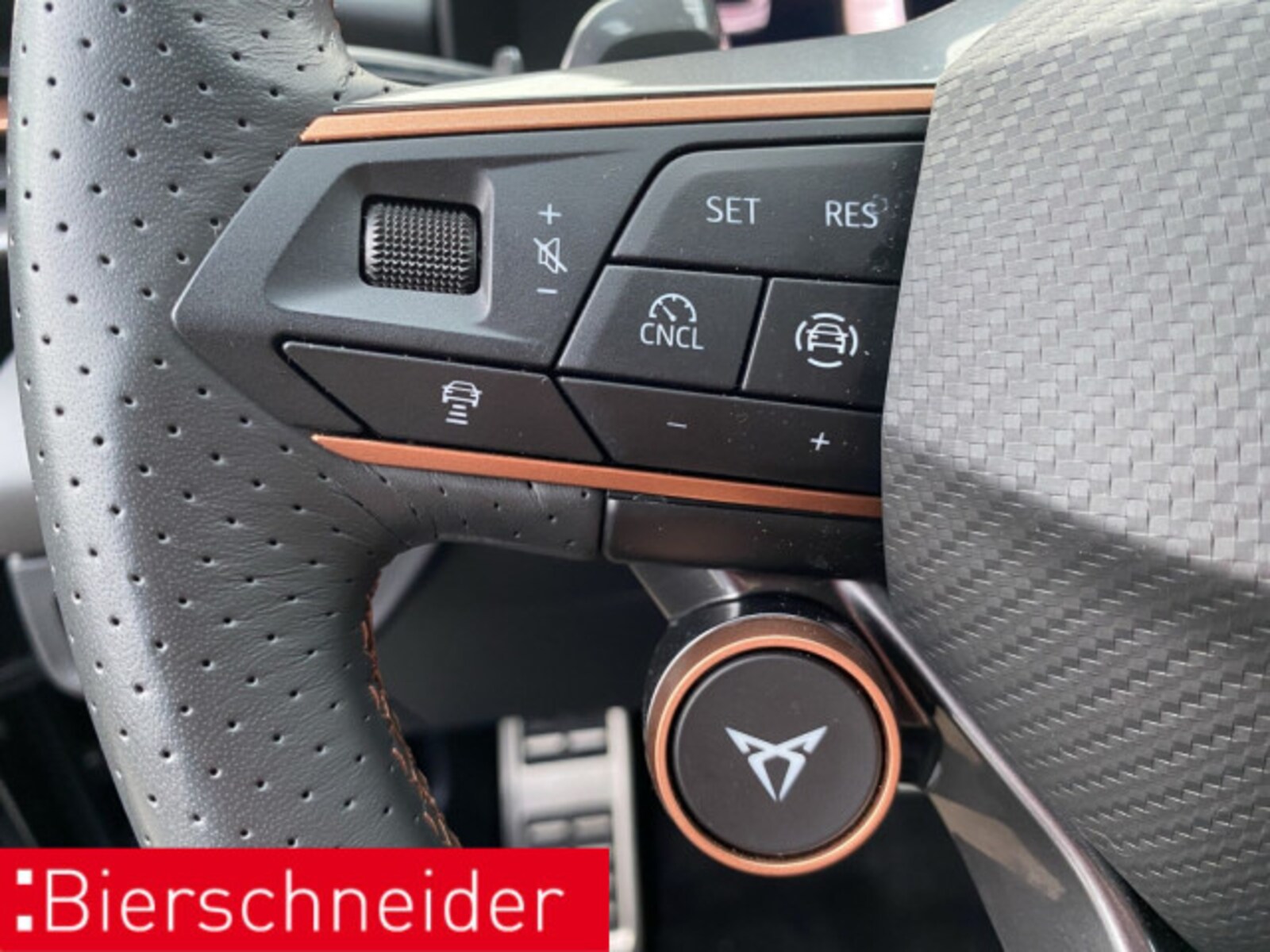 CUPRA Terramar – Bild 18