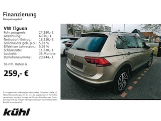 zweites Vorschaubild