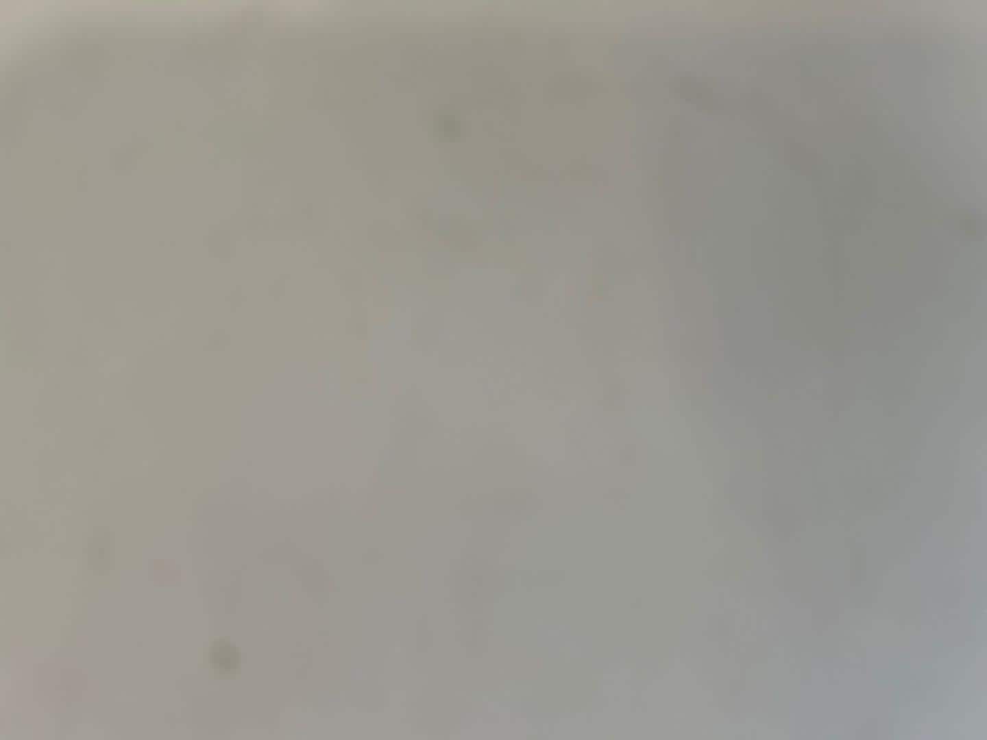 Image about Audi RS 6 Avant TFSI quattro tiptronic