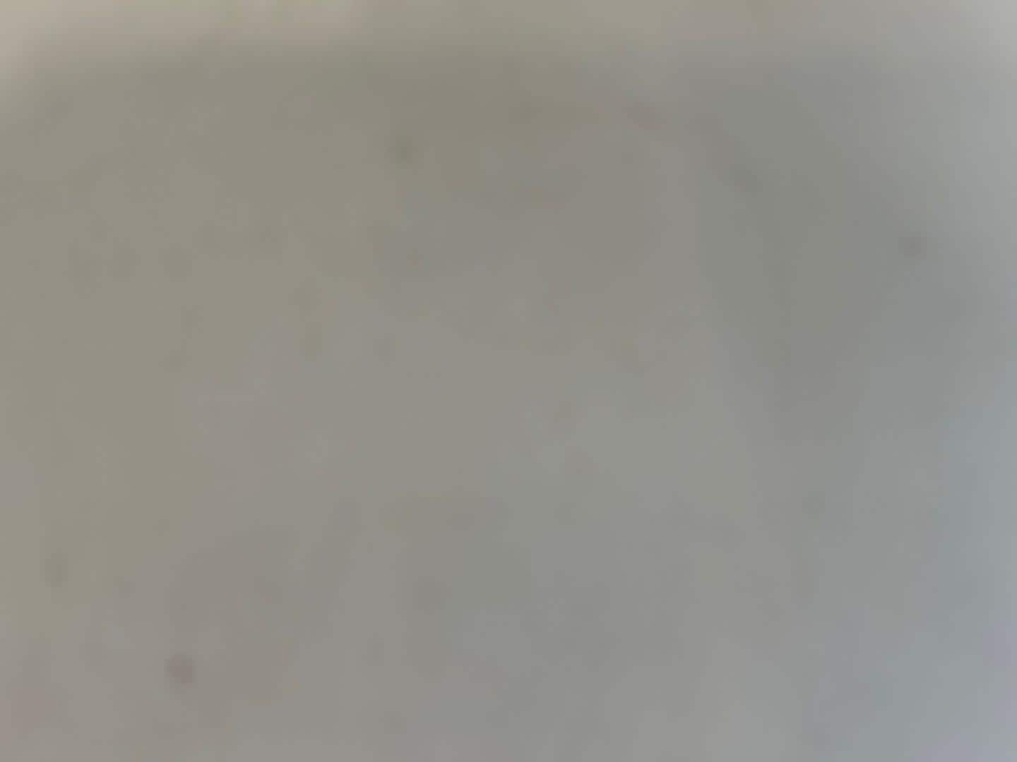 Image about Audi RS 6 Avant TFSI quattro tiptronic