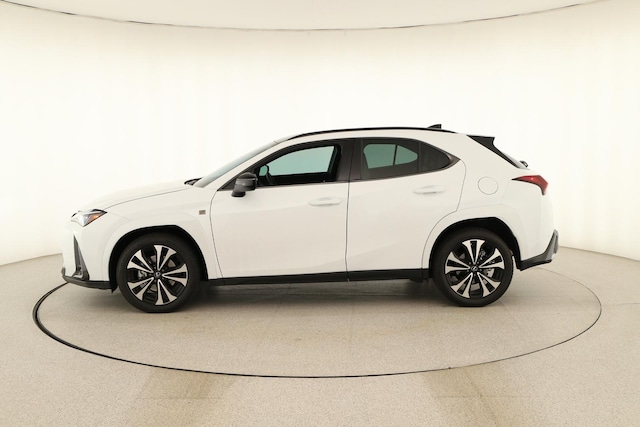 2025 Lexus UX 300h