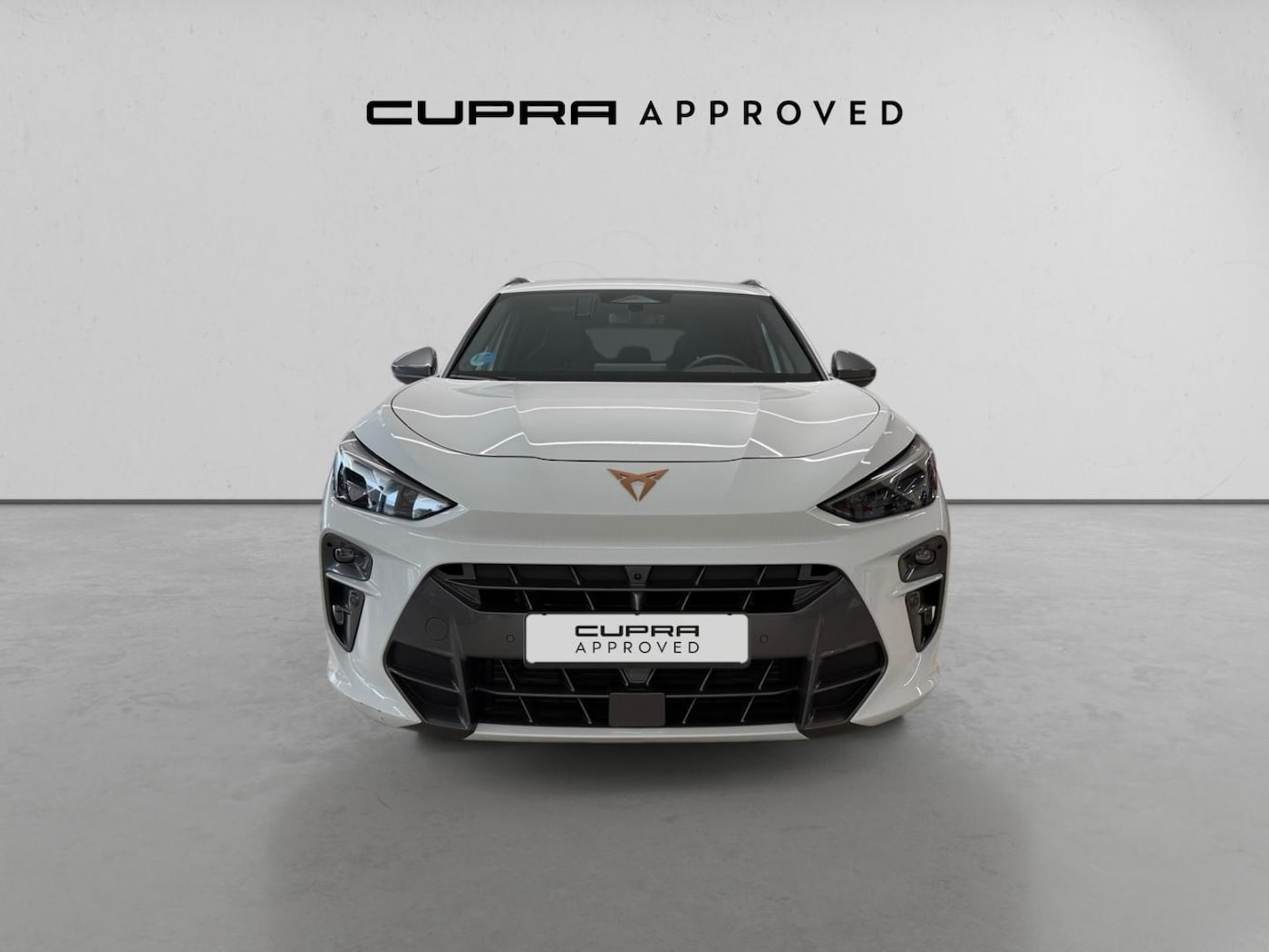 CUPRA Terramar 1.5 eTSI DSG 110 kW (150 CV) — photo 15