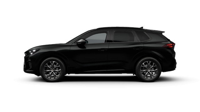 Bild des Autos 6