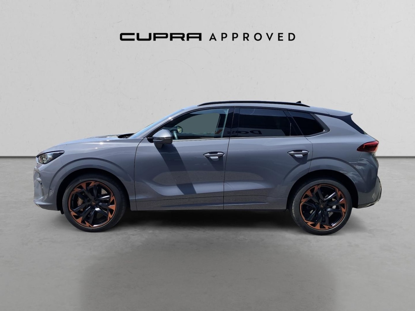 CUPRA Terramar 2.0 TSI VZ 4 Drive DSG 195 kW (265 CV) — photo 15