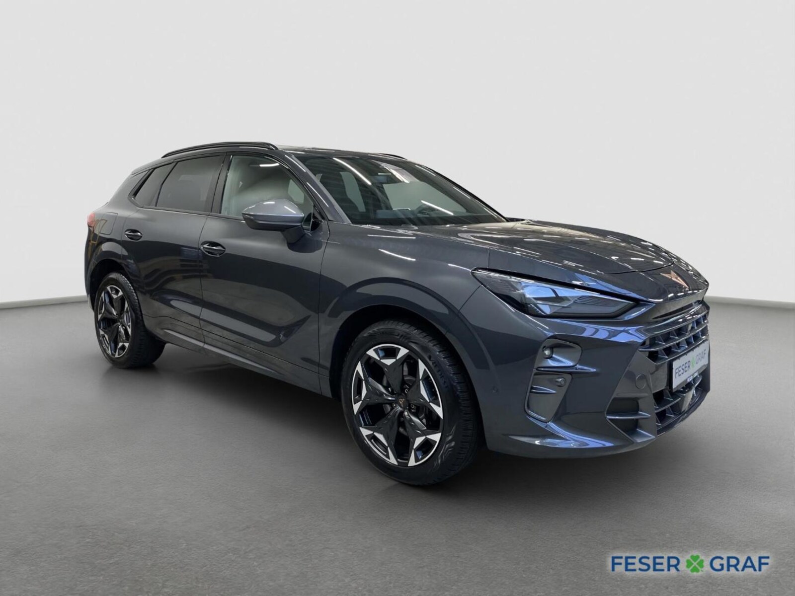 CUPRA Terramar – Bild 2
