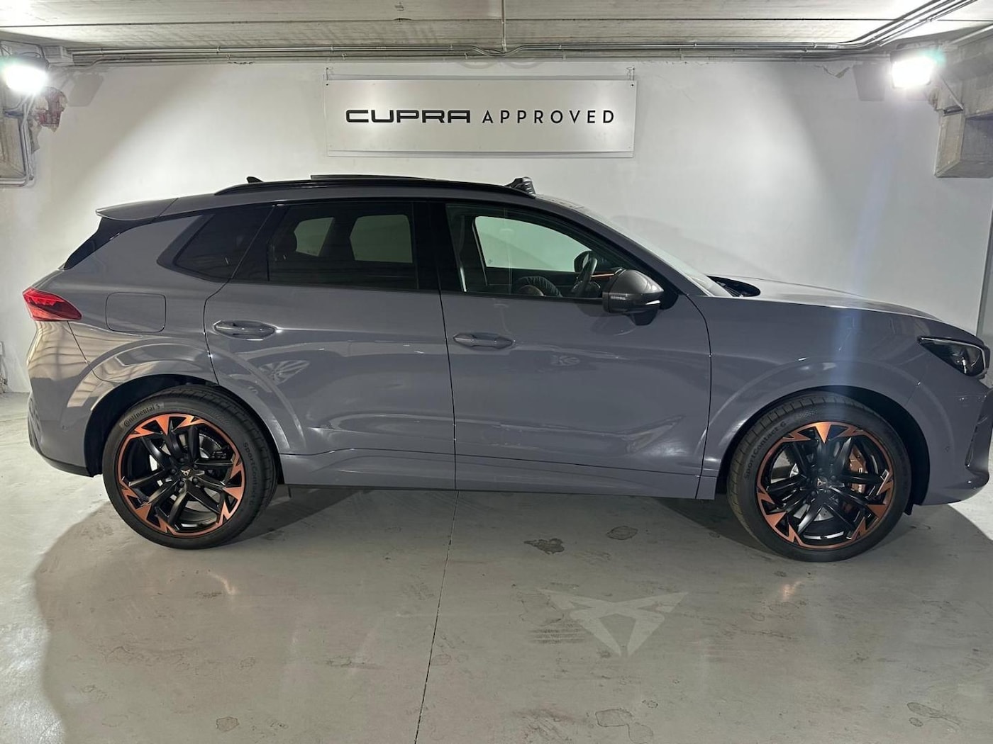 CUPRA Terramar 2.0 TSI VZ 4 Drive DSG 195 kW (265 CV) — photo 4