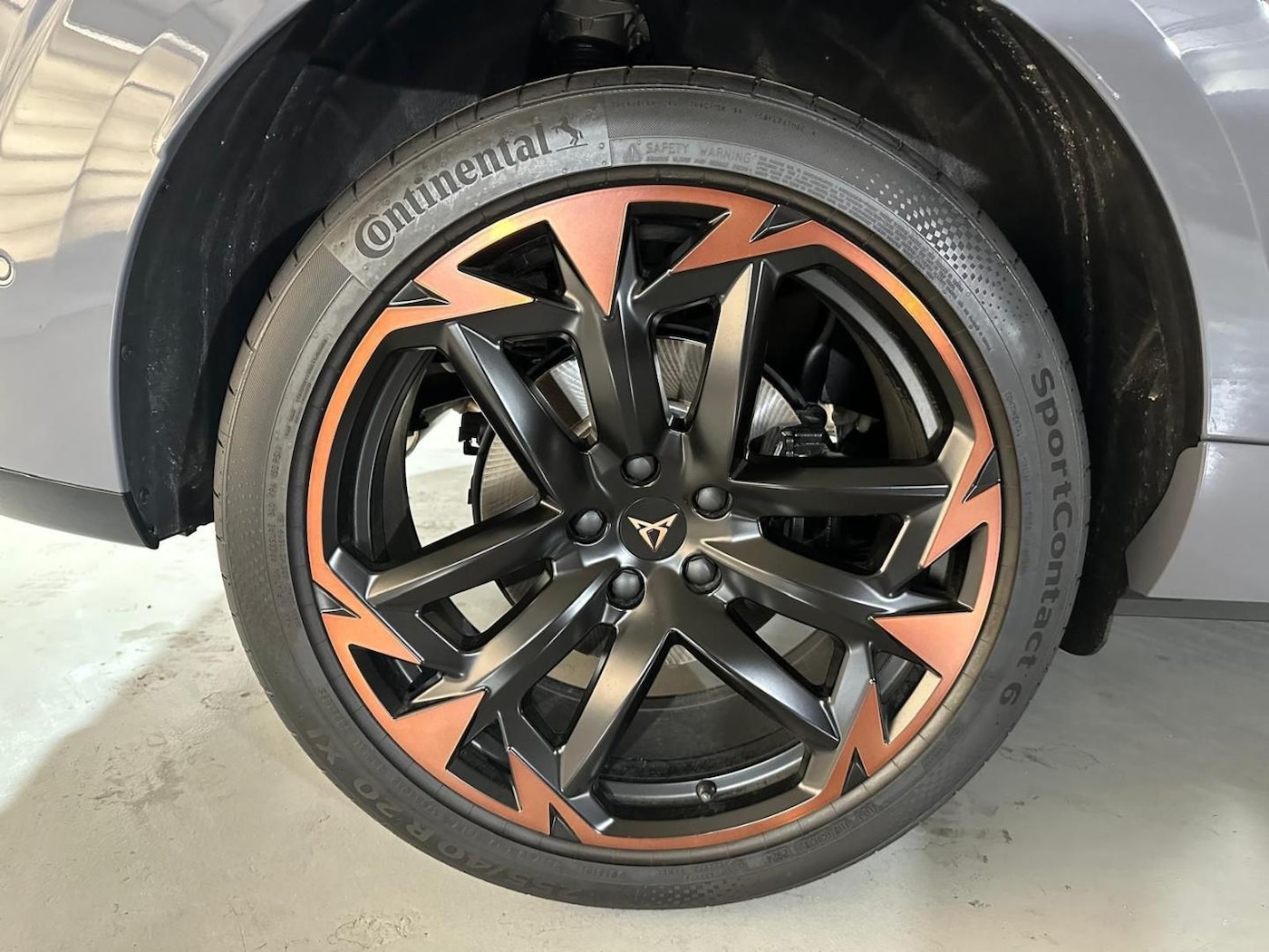 CUPRA Terramar 2.0 TSI VZ 4 Drive DSG 195 kW (265 CV) — photo 9