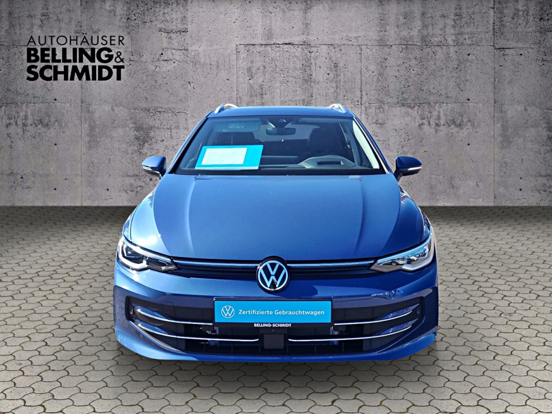 Volkswagen Golf Variant Style