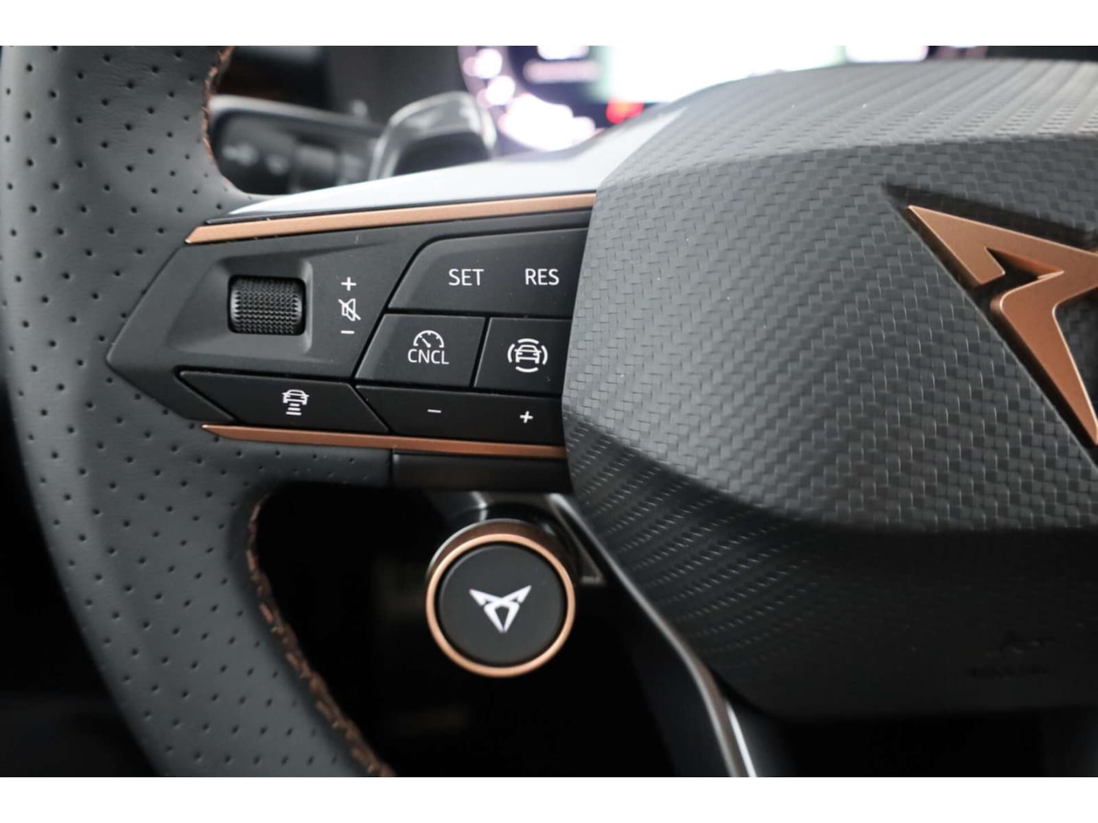 CUPRA Terramar – Bild 13