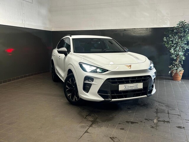 Bild des Autos 2