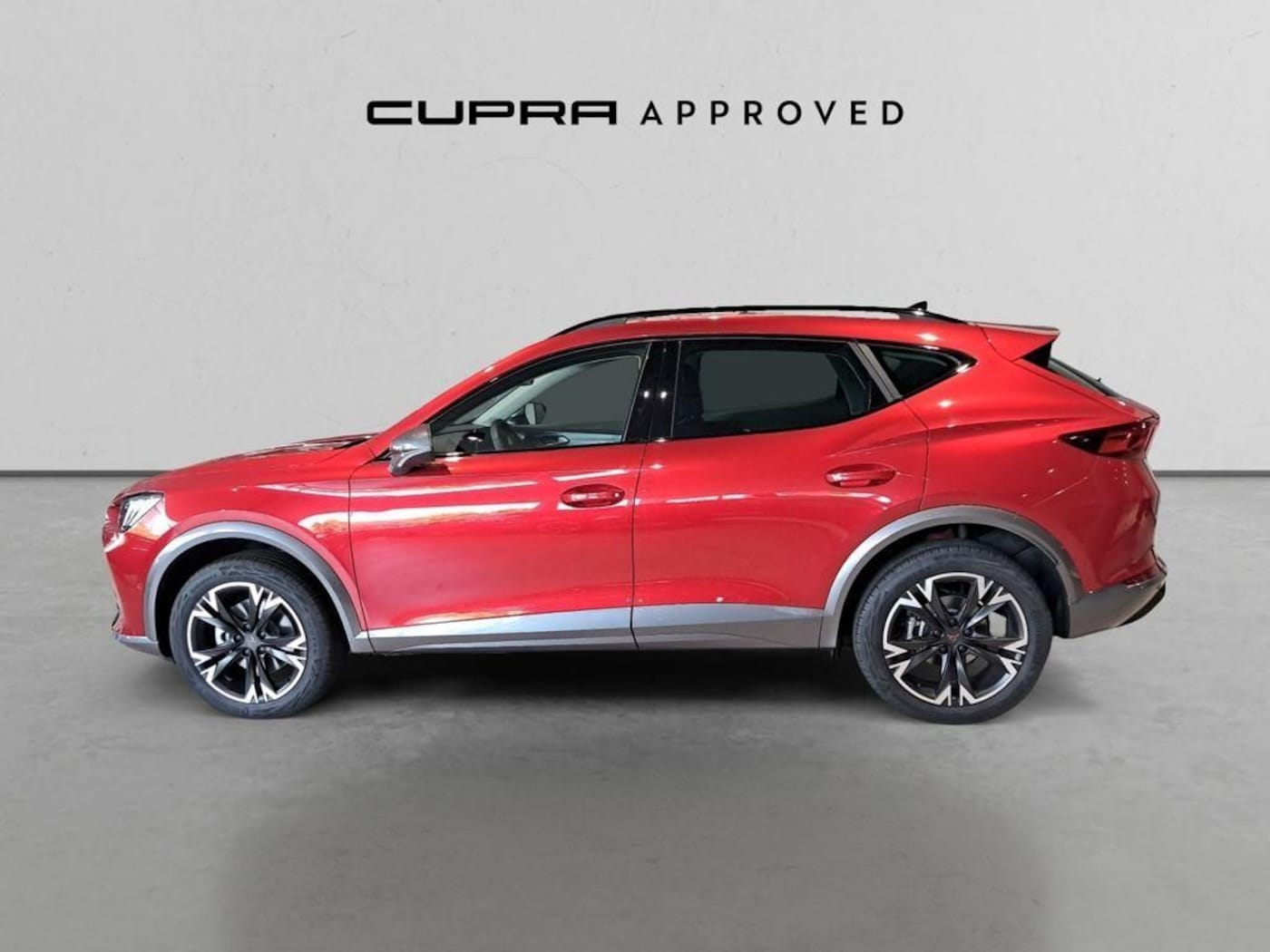 CUPRA Formentor 2.0 TDI 4Drive 110 kW (150 CV) DSG — photo 13