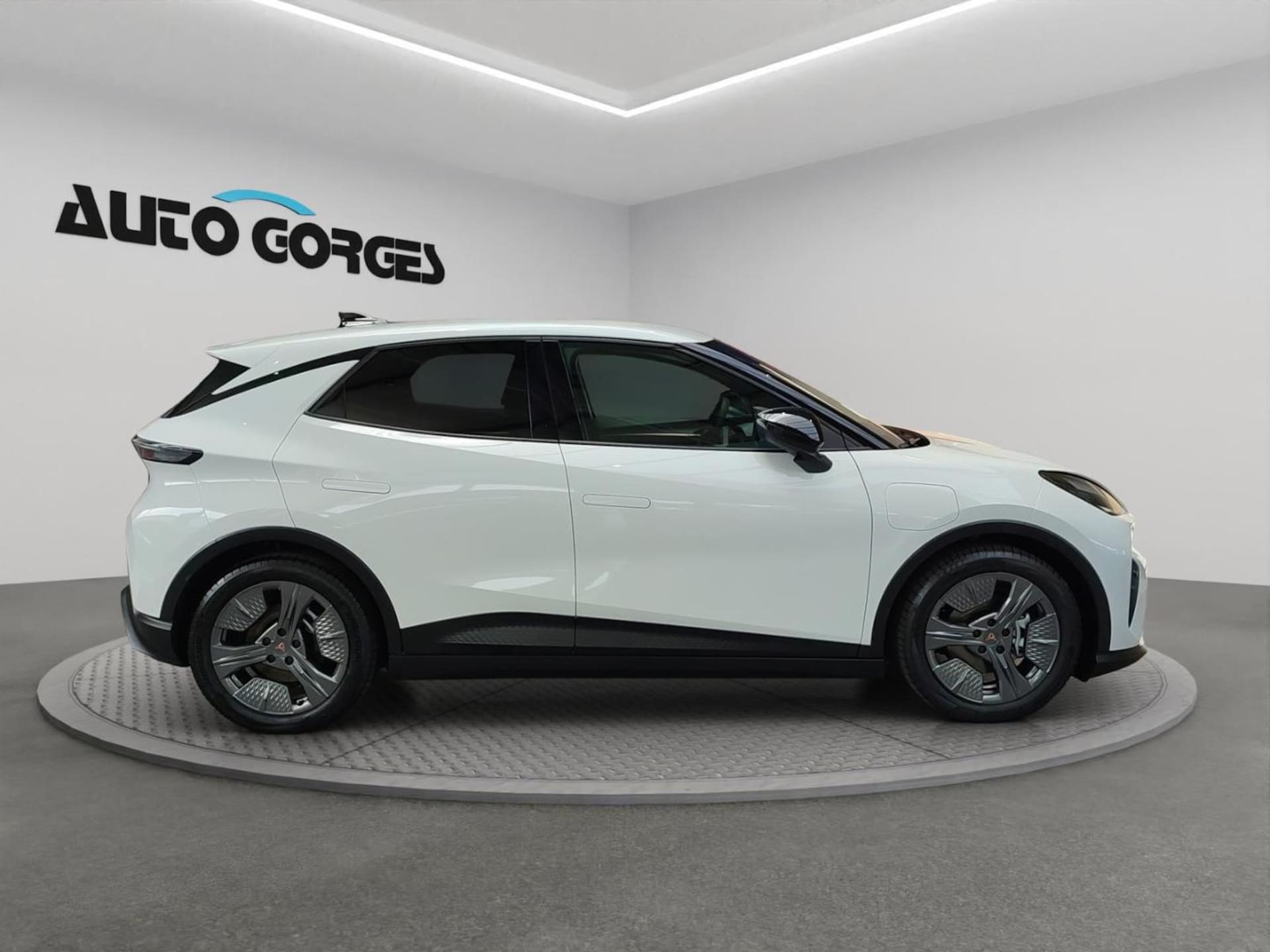 CUPRA Raval Endurance