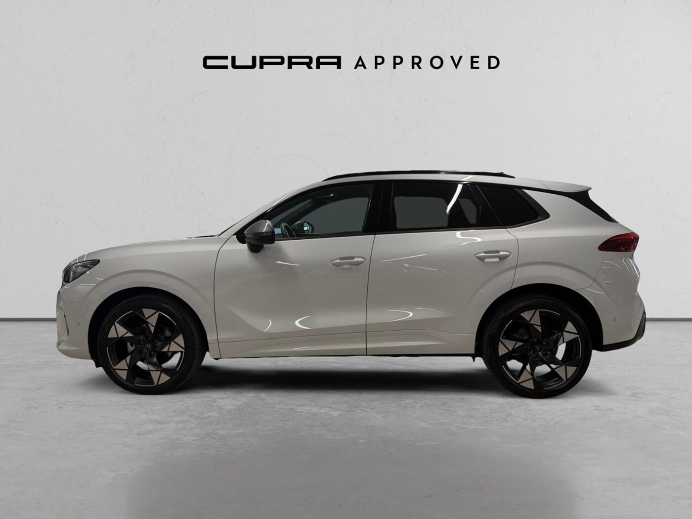 CUPRA Terramar 1.5 eTSI DSG 110 kW (150 CV) — photo 18