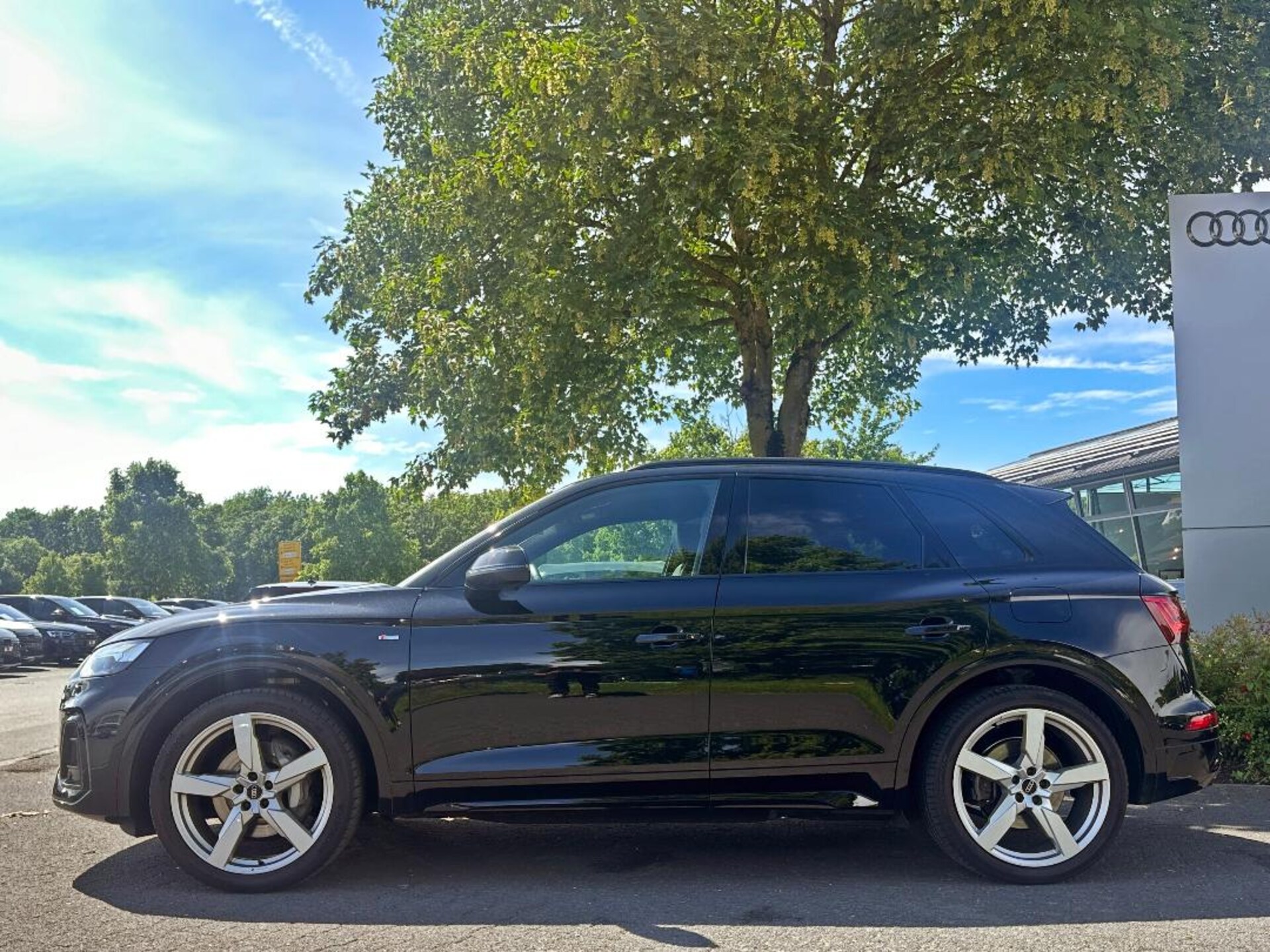 Audi Q5 TFSI e S line
