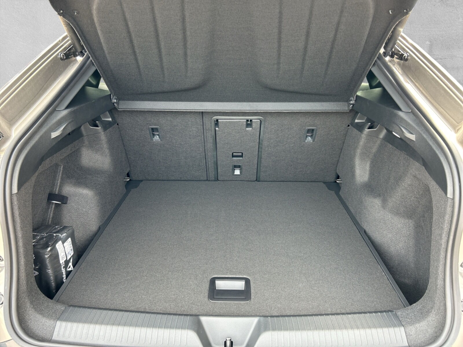 CUPRA Tavascan – Bild 3