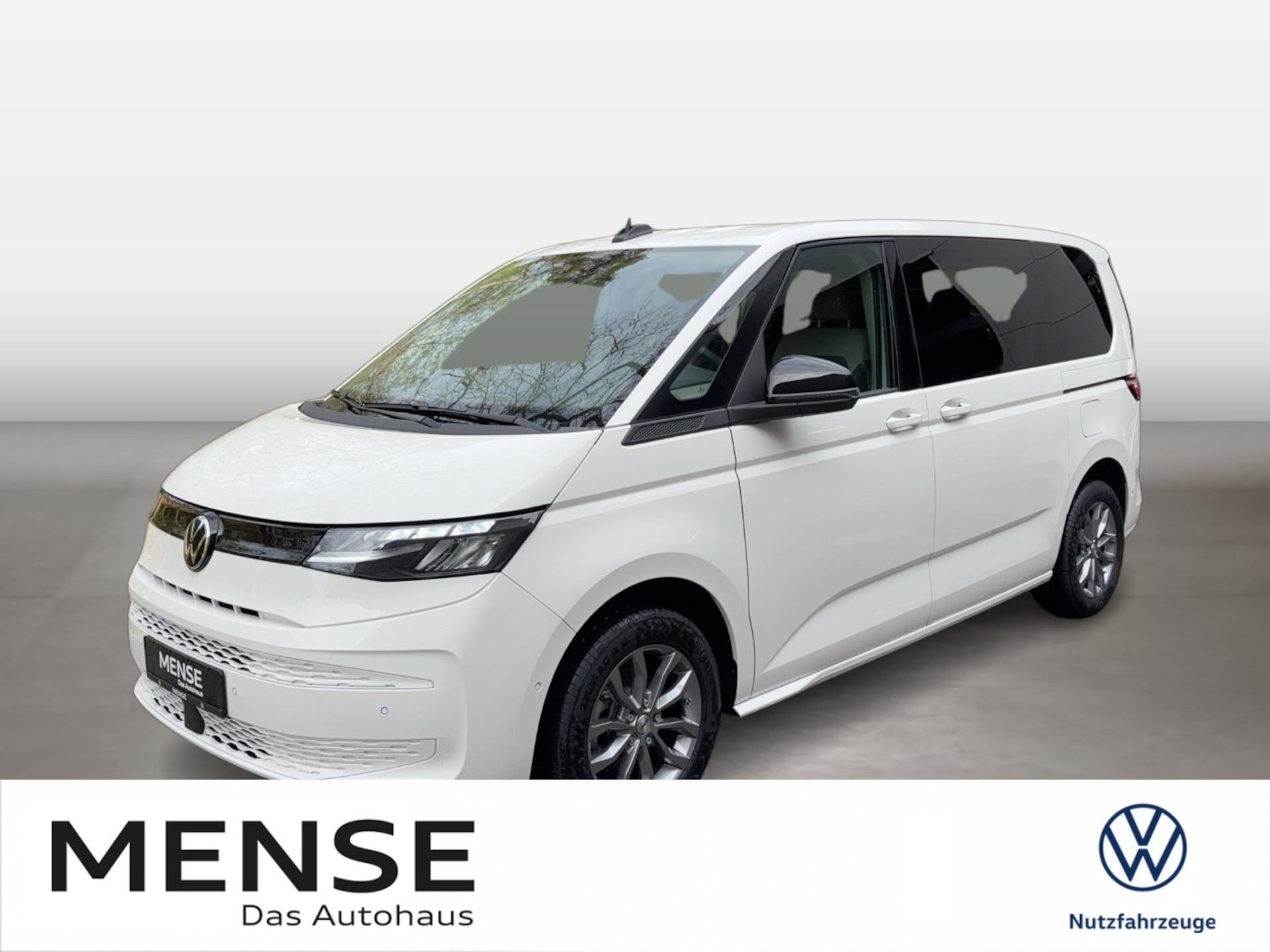 Volkswagen Multivan Basis-Modell