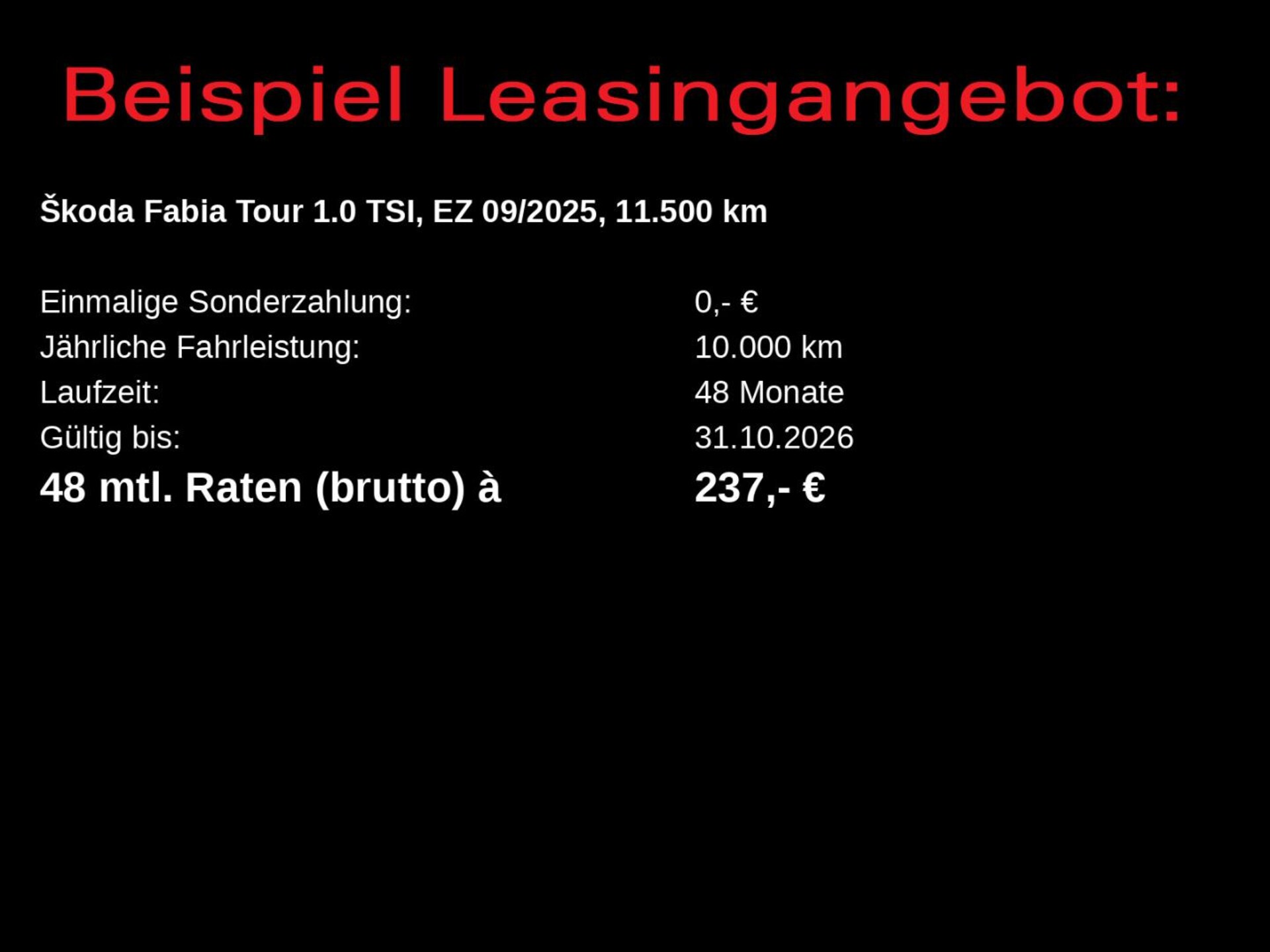 Skoda Fabia Tour