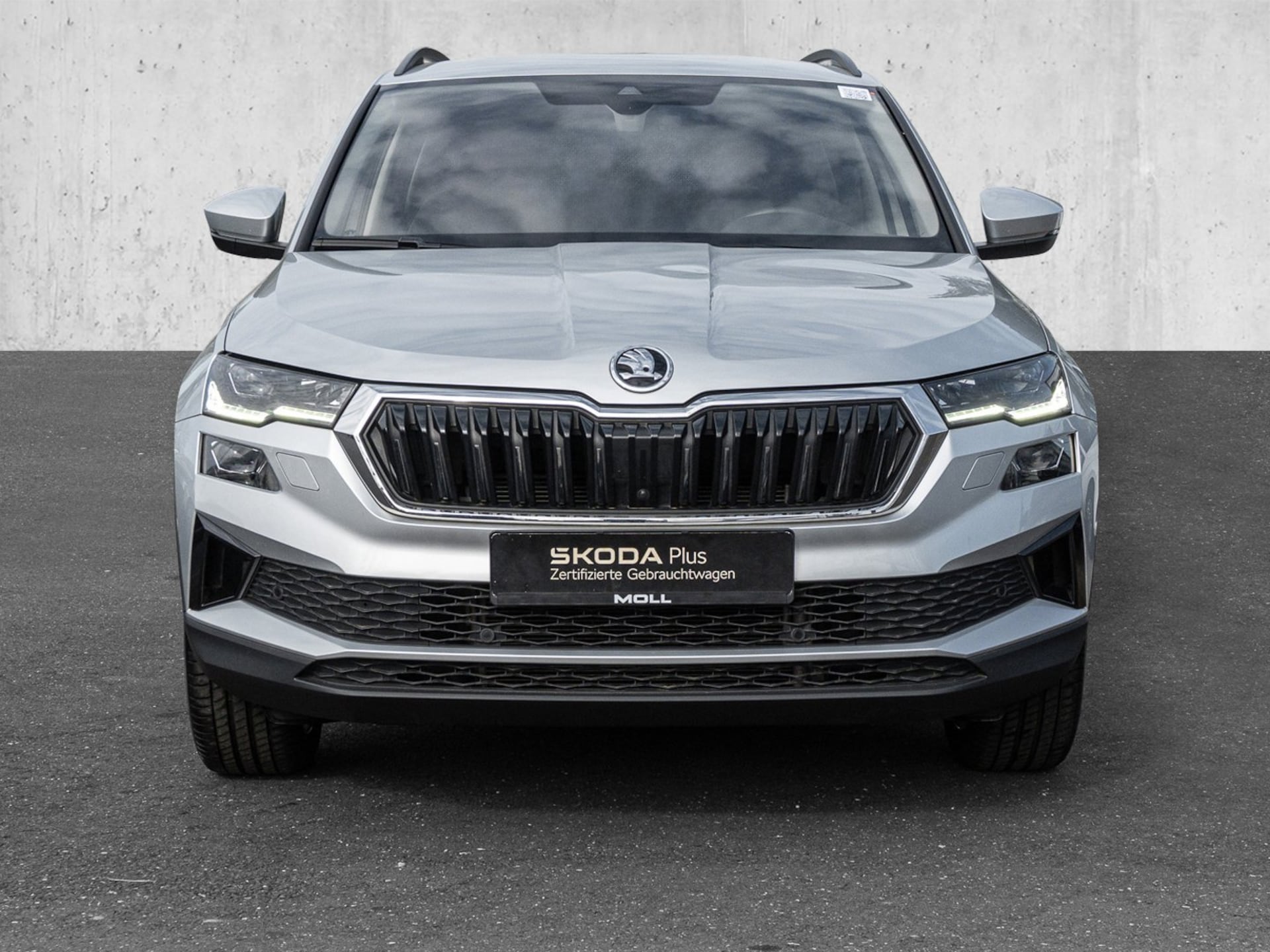 Skoda Karoq Style