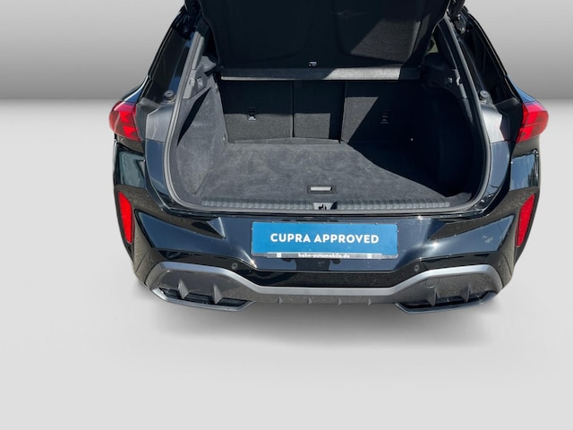 Bild des Autos 14