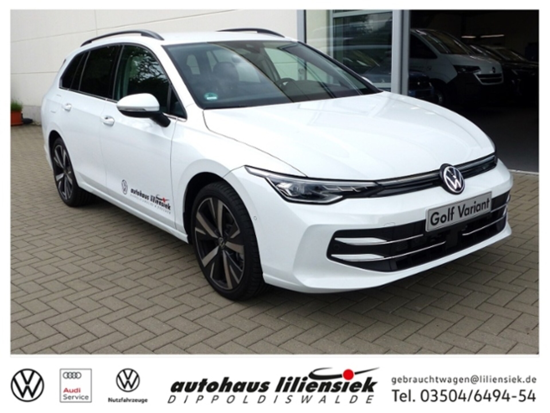 Volkswagen Golf Variant Style
