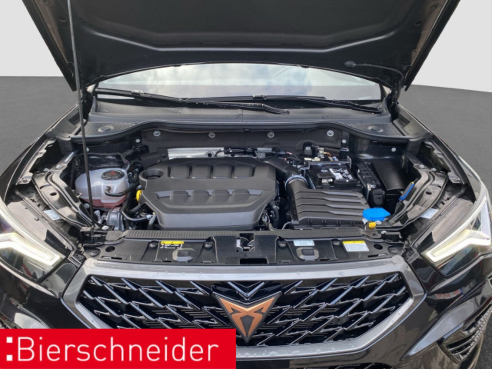 CUPRA Ateca – Bild 19