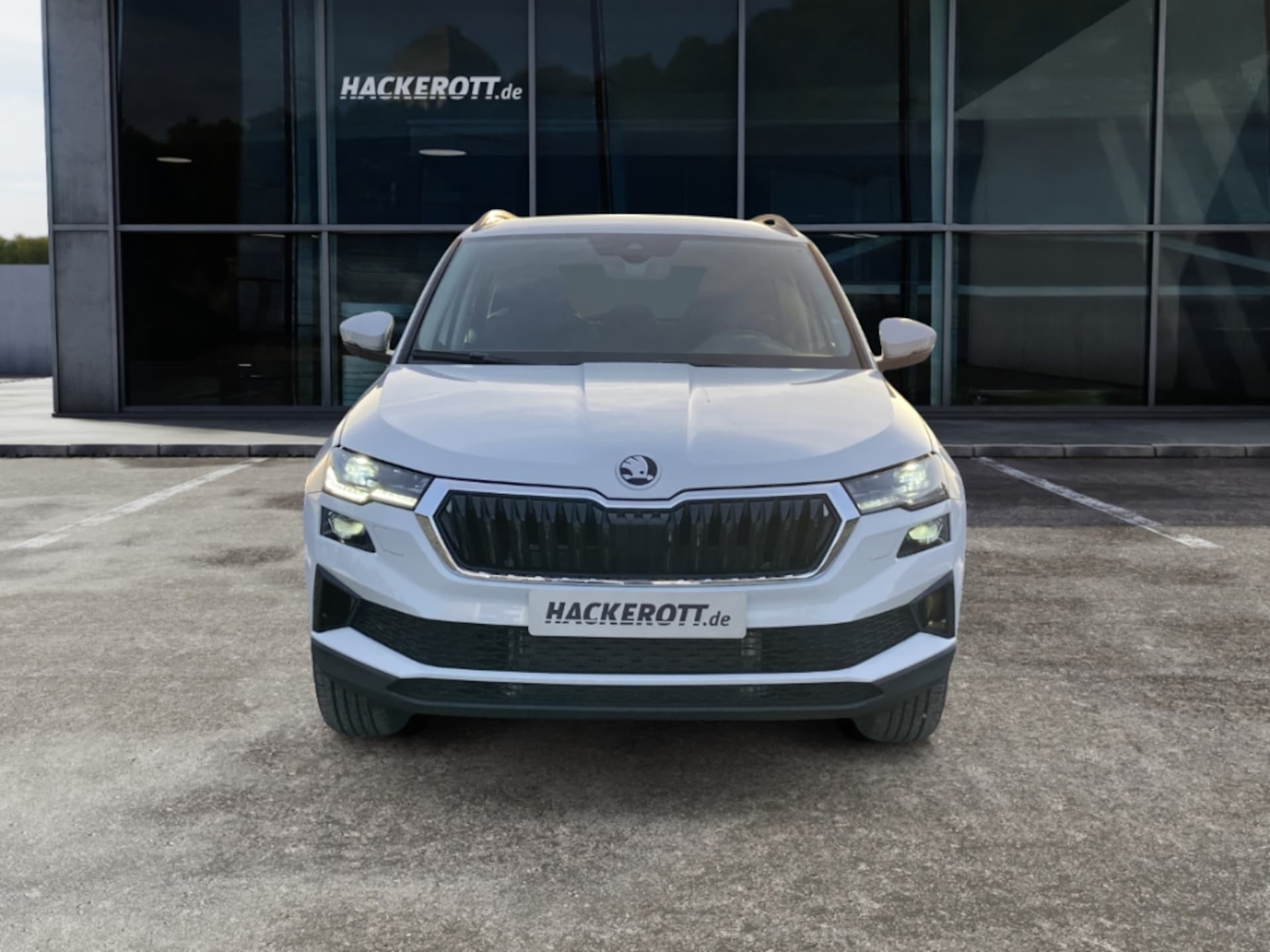 Skoda Karoq Selection