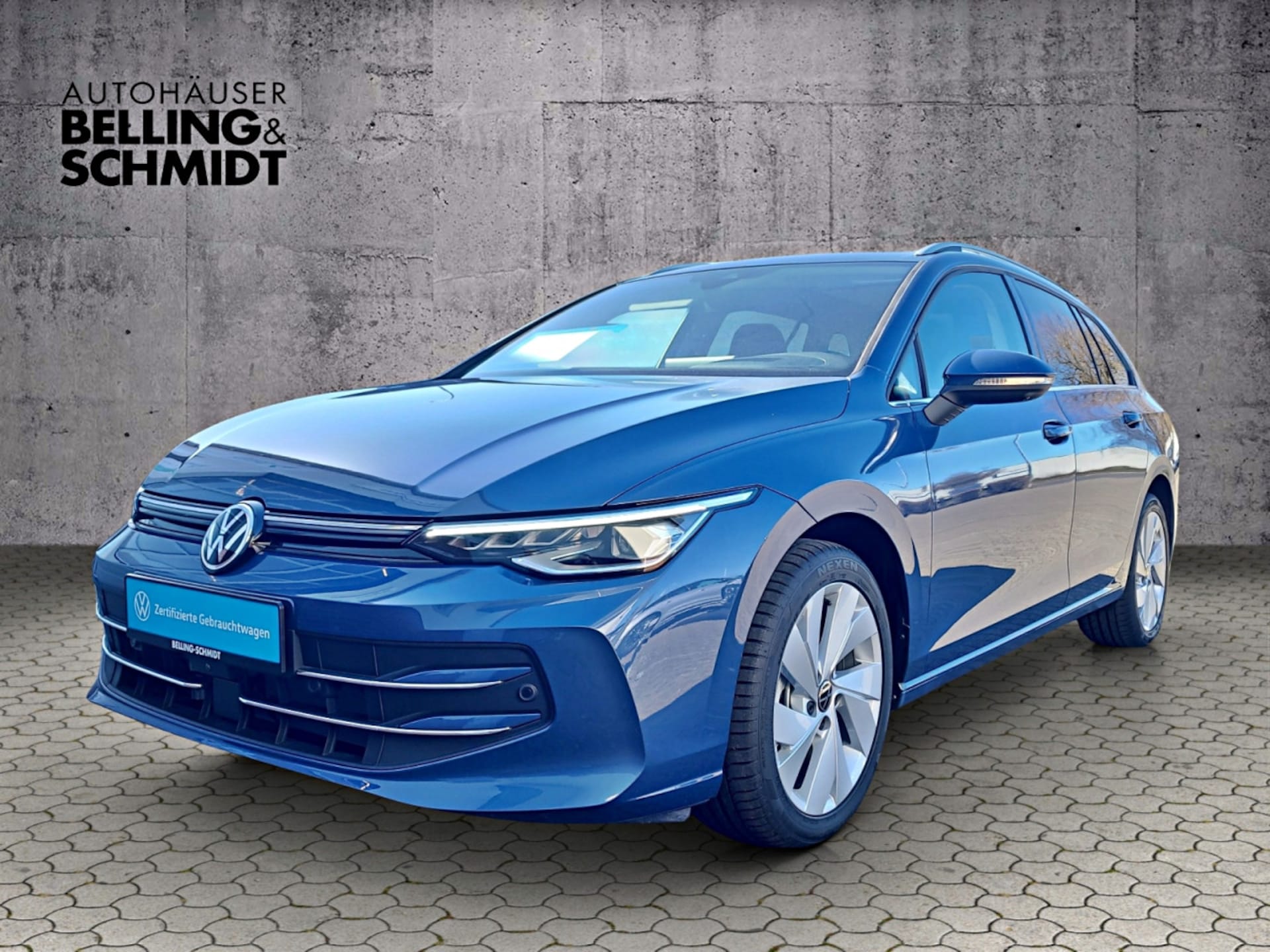 Volkswagen Golf Variant Style