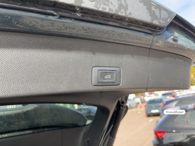 Bild des Autos 16