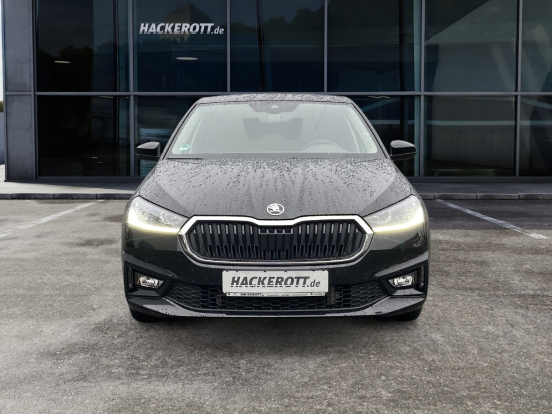 Skoda Fabia Selection