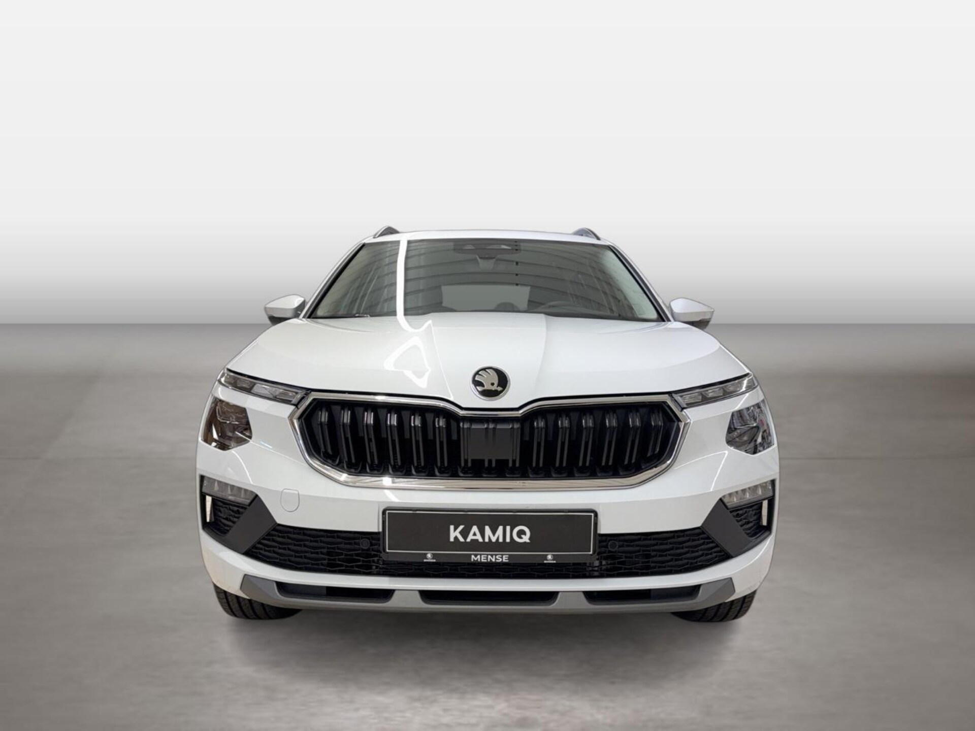 Skoda Kamiq Selection
