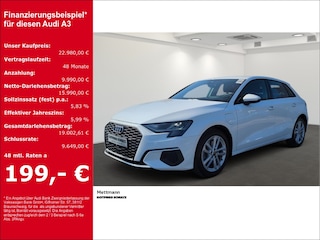erstes Vorschaubild